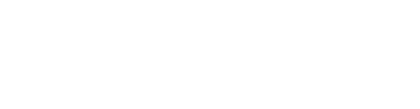 Diseño web por Anubis Solutions